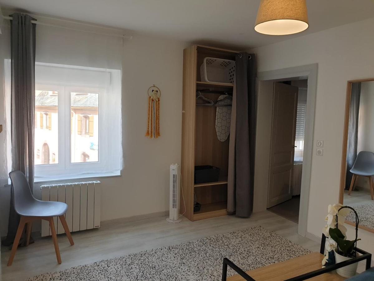 Le Terramon - Appartement 4 Personnes Orbey Εξωτερικό φωτογραφία